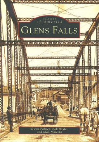 Kniha Glen Falls Gwen Palmer