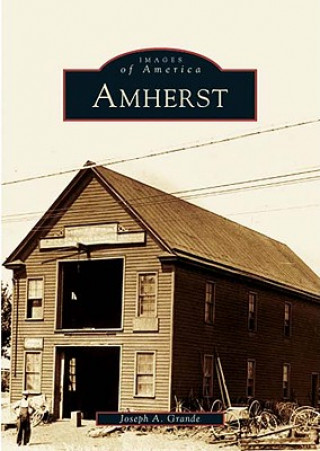 Kniha Amherst Joseph A. Grande