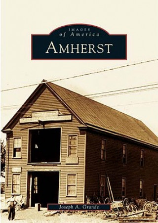 Book Amherst Joseph A. Grande