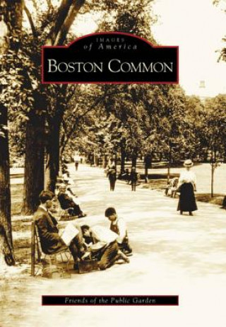 Книга Boston Common Gail Weesner