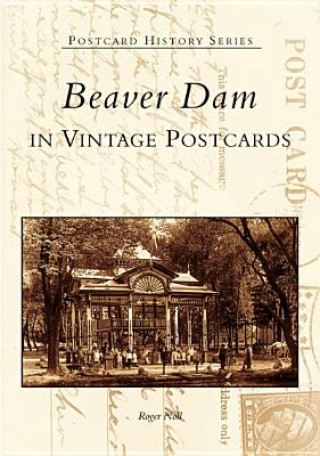 Kniha Beaver Dam in Vintage Postcards Roger Noll