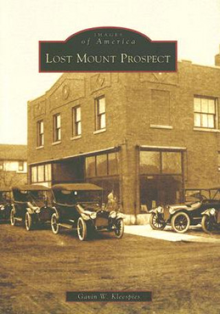Kniha Lost Mount Prospect Gavin W. Kleespies
