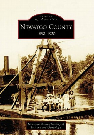 Könyv Newaygo County 1850-1920 Newaygo County Society of History and Ge