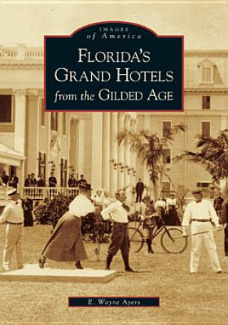 Buch Florida's Grand Hotels from the Gilded Age R. Wayne Ayers