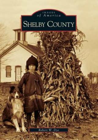 Carte Shelby County Robert W. Dye