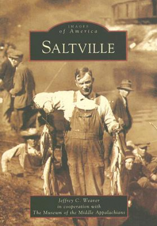 Книга Saltville Jeffrey C. Weaver