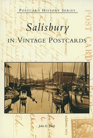 Könyv Salisbury in Vintage Postcards John E. Jacob