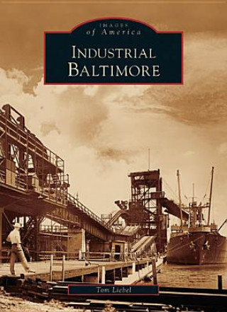 Knjiga Industrial Baltimore: Tom Liebel