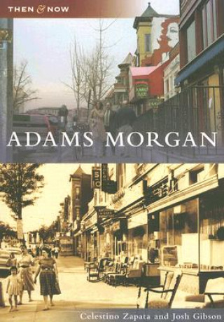 Könyv Adams Morgan Celestino Zapata
