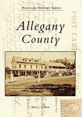 Könyv Allegany County Albert L. Feldstein