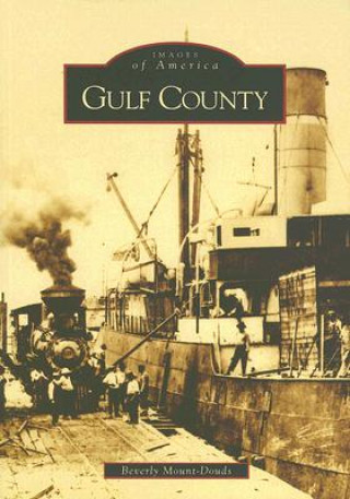 Knjiga Gulf County Beverly Mount-Douds