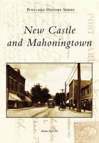 Kniha New Castle and Mahoningtown Anita Devivo