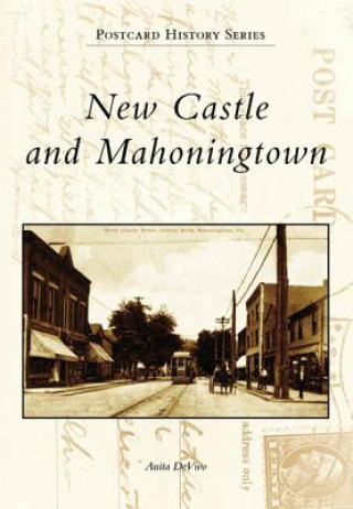 Книга New Castle and Mahoningtown Anita Devivo