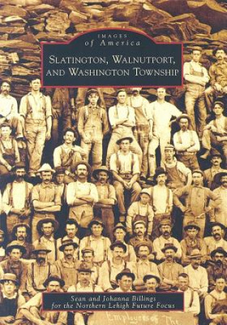 Könyv Slatington, Walnutport, and Washington Township Sean Billings