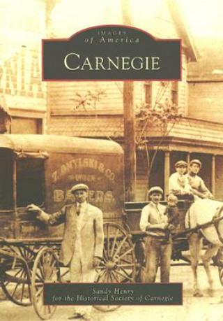 Книга Carnegie Sandy Henry
