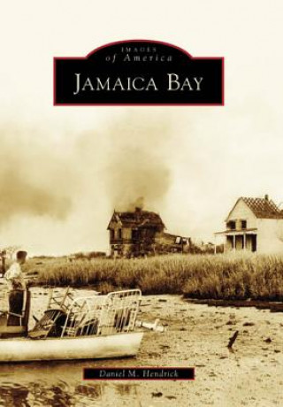 Book Jamaica Bay Daniel Hendrick