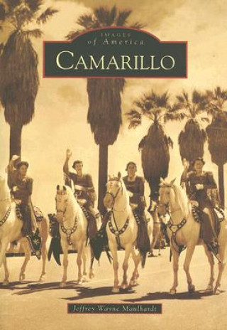 Carte Camarillo Jeffrey Wayne Maulhardt