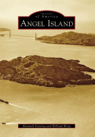 Kniha Angel Island Branwell Fanning
