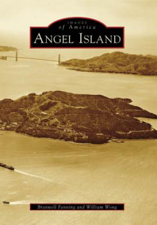 Knjiga Angel Island Branwell Fanning