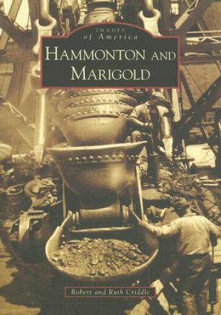 Книга Hammonton and Marigold Robert Criddle