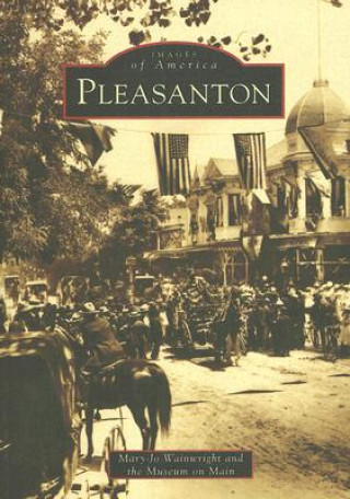 Könyv Pleasanton Mary-Jo Wainwright