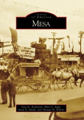 Livre Mesa Lisa A. Anderson