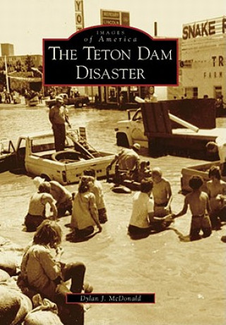 Kniha The Teton Dam Disaster Dylan J. McDonald