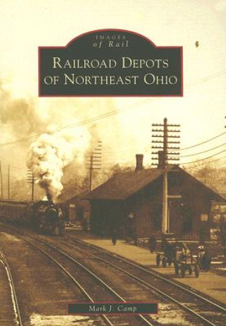 Libro Railroad Depots of Northeast Ohio Mark J. Camp