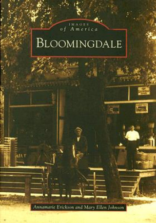 Книга Bloomingdale Annamarie Erickson