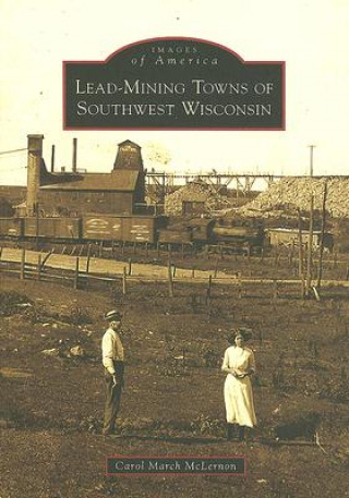 Книга Lead-Mining Towns of Southwest Wisconsin Carol March McLernon