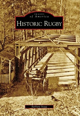 Könyv Historic Rugby Barbara Stagg