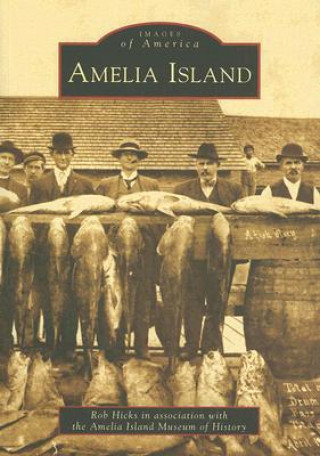 Kniha Amelia Island Rob Hicks