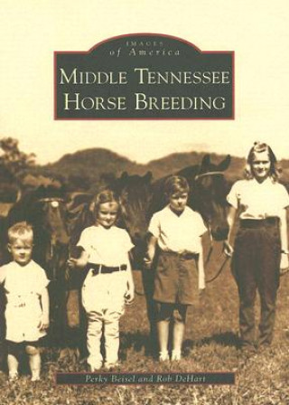 Carte Middle Tennessee Horse Breeding Perky Beisel