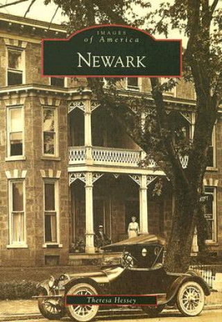 Книга Newark Theresa Hessey