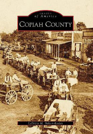 Kniha Copiah County Latricia M. Nelson-Easley