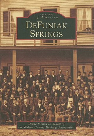Книга DeFuniak Springs Diane Merkel