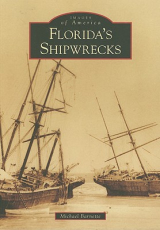 Carte Florida's Shipwrecks Michael Barnette