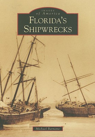 Book Florida's Shipwrecks Michael Barnette