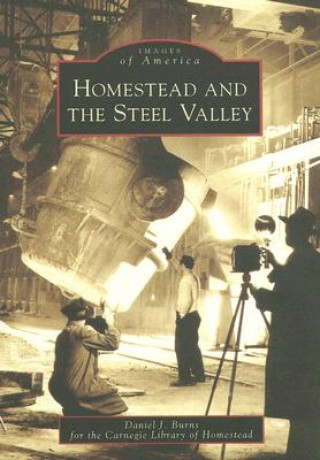 Книга Homestead and the Steel Valley Daniel J. Burns