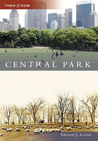 Buch Central Park Edward J. Levine