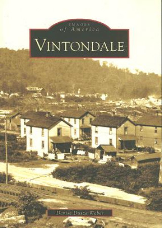 Buch Vintondale Denise Dusza Weber