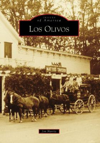 Livre Los Olivos Jim Norris