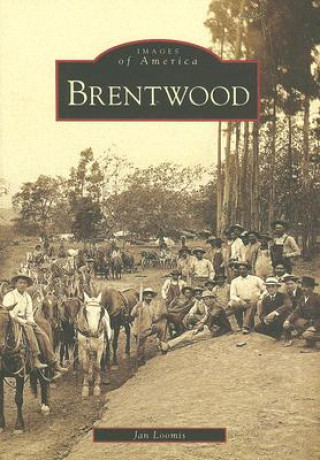 Knjiga Brentwood Jan Loomis