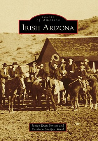 Книга Irish Arizona Janice Ryan Bryson