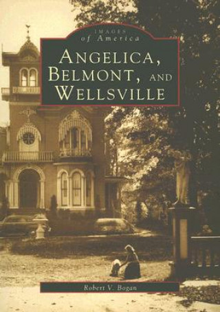 Carte Angelica, Belmont, and Wellsville Robert V. Bogan