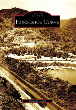 Kniha Horseshoe Curve David W. Seidel