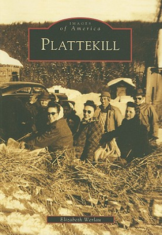 Kniha Plattekill Elizabeth Werlau