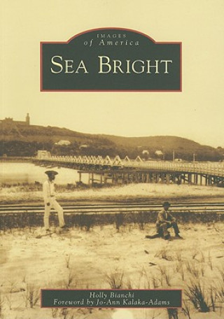 Book Sea Bright Holly Bianchi
