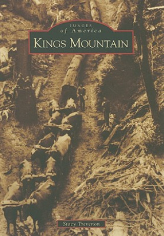 Книга Kings Mountain Stacy Trevenon