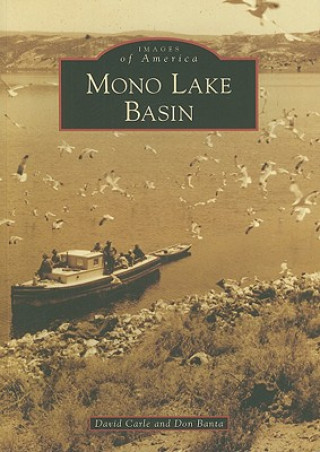 Livre Mono Lake Basin David Carle